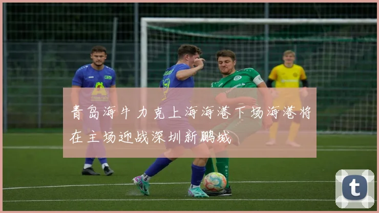 青岛海牛力克上海海港下场海港将在主场迎战深圳新鹏城