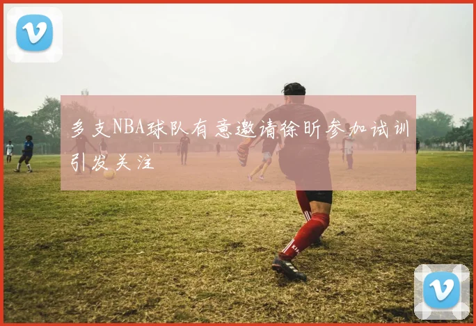 多支NBA球队有意邀请徐昕参加试训引发关注